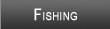 Petenwell Lake Fishing
